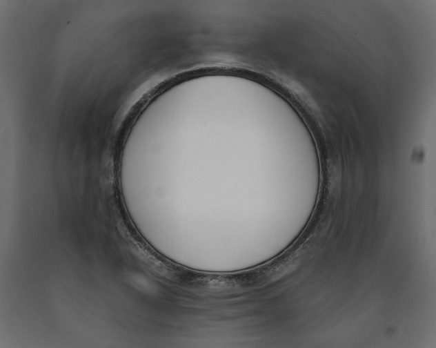 X0000090411318200708031033