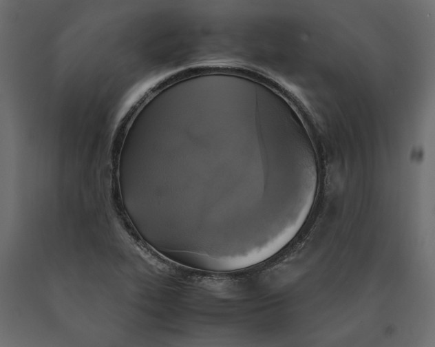 X0000090411319200708031033
