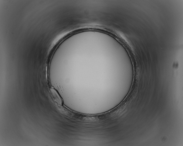 X0000090411320200708031033