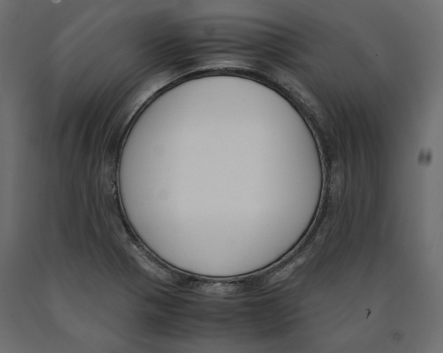 X0000090411321200708031033