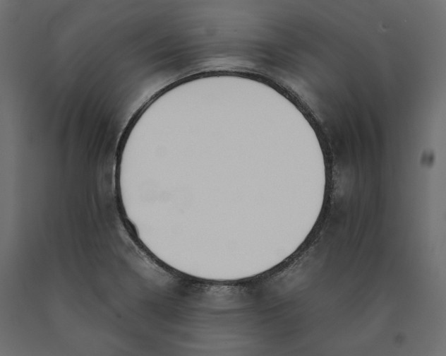 X0000090411322200708031033
