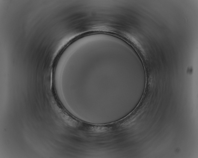 X0000090411323200708031033