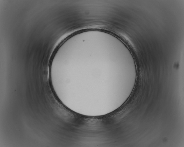 X0000090411324200708031033