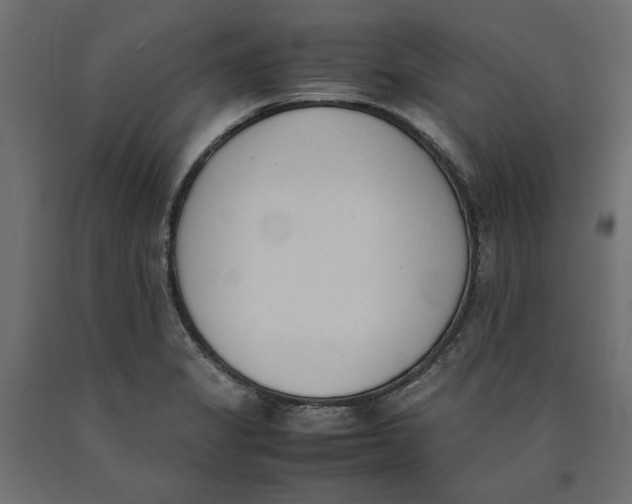 X0000090411325200708031033