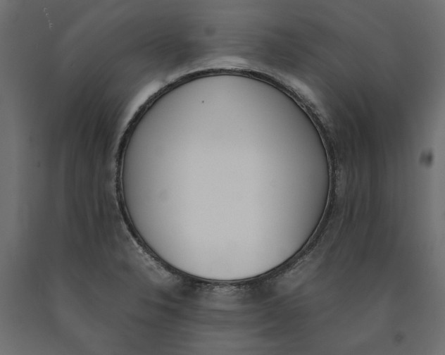 X0000090411326200708031033