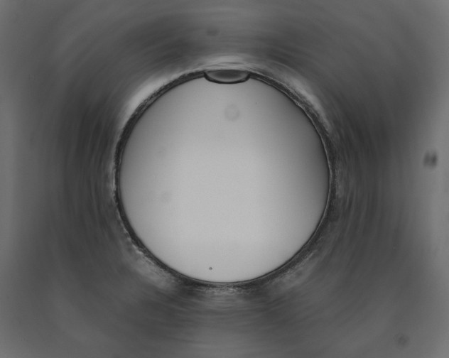 X0000090411328200708031033