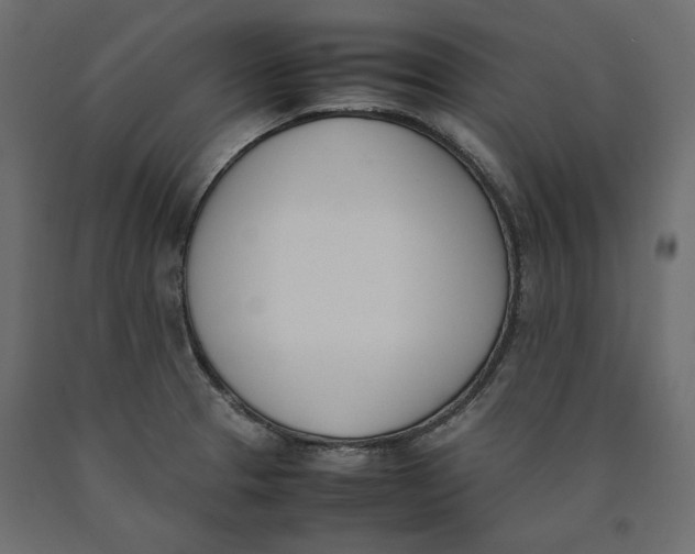 X0000090411329200708031033