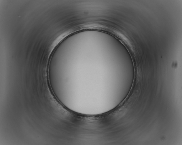 X0000090411330200708031033