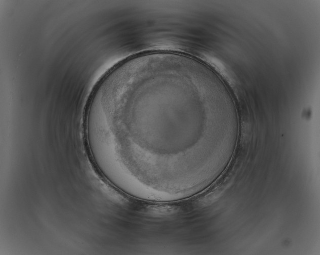 X0000090411331200708031033