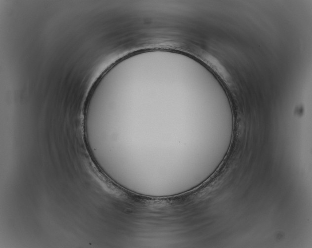 X0000090411332200708031033