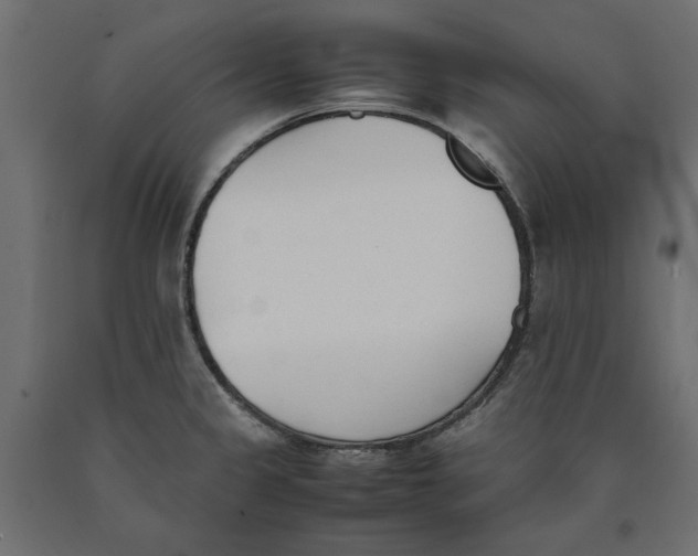 X0000090411333200708031034