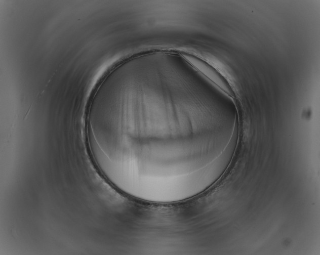 X0000090411334200708031034