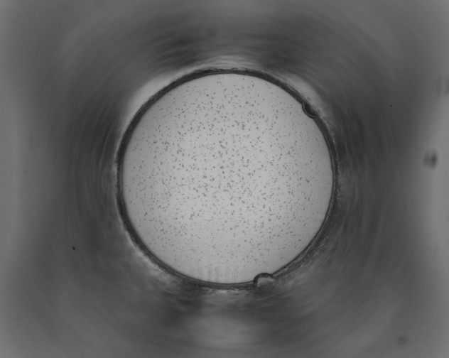 X0000090411335200708031034