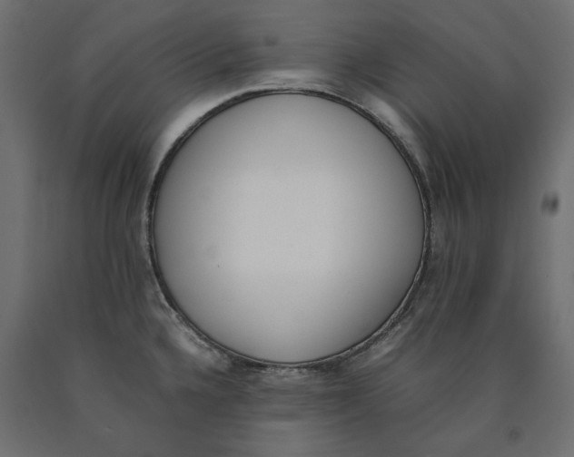 X0000090411336200708031034