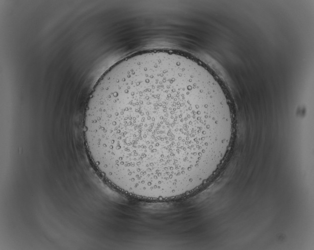 X0000090411337200708031034
