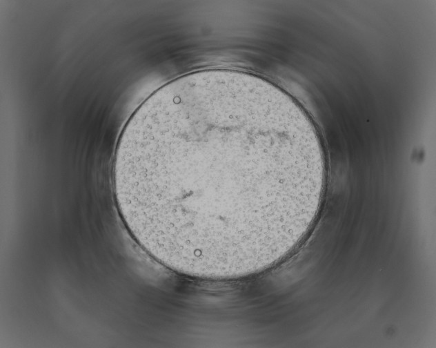 X0000090411338200708031034