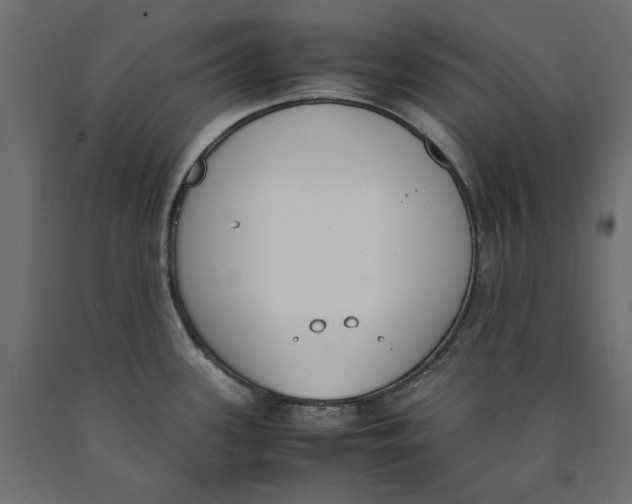 X0000090411339200708031034