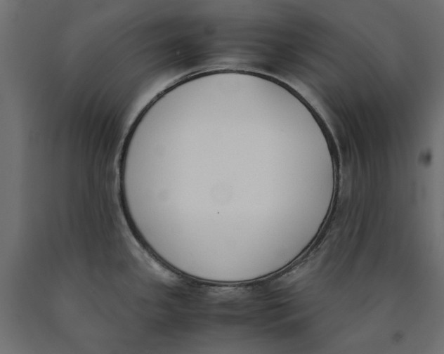 X0000090411341200708031034