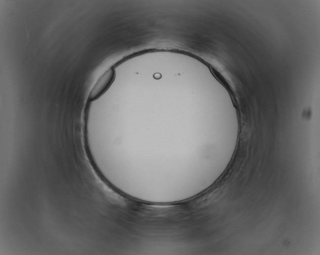 X0000090411343200708031034