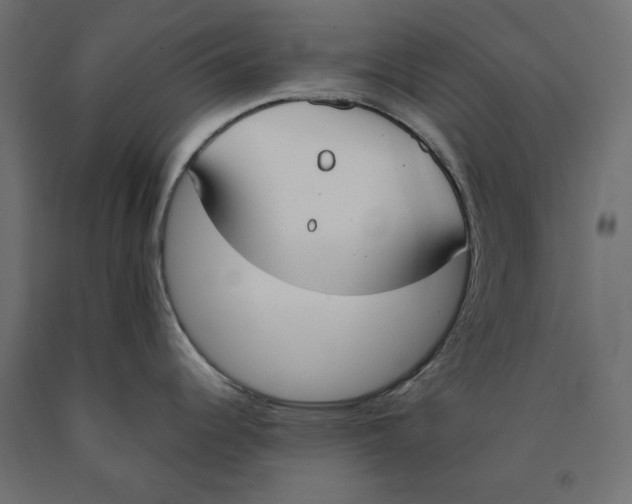 X0000090411344200708031034