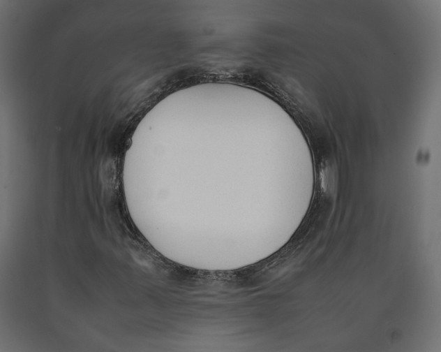 X0000090411347200708031033
