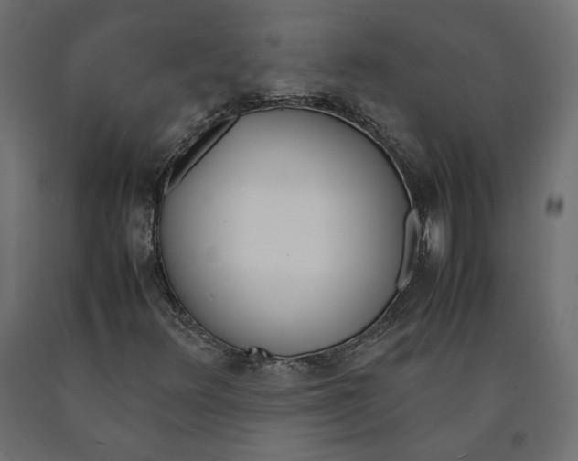 X0000090411348200708031033