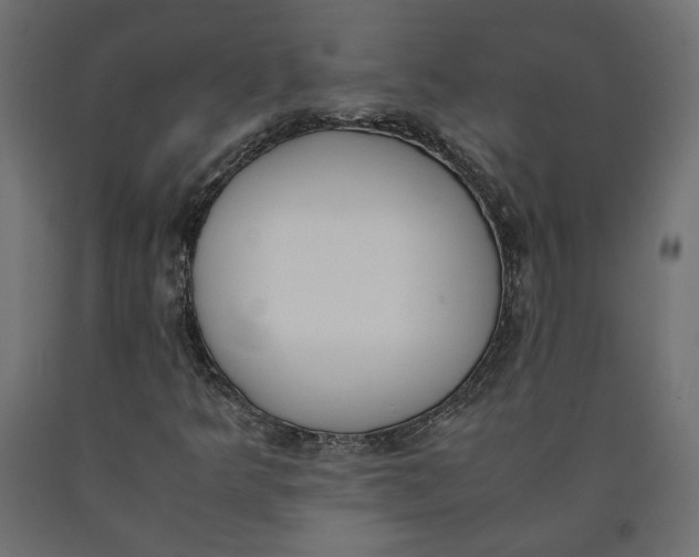 X0000090411349200708031033
