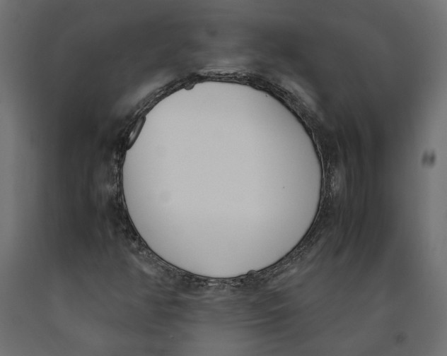 X0000090411350200708031033