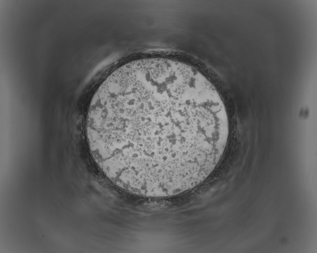 X0000090411351200708031033