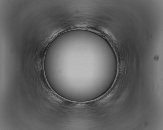 X0000090411353200708031033