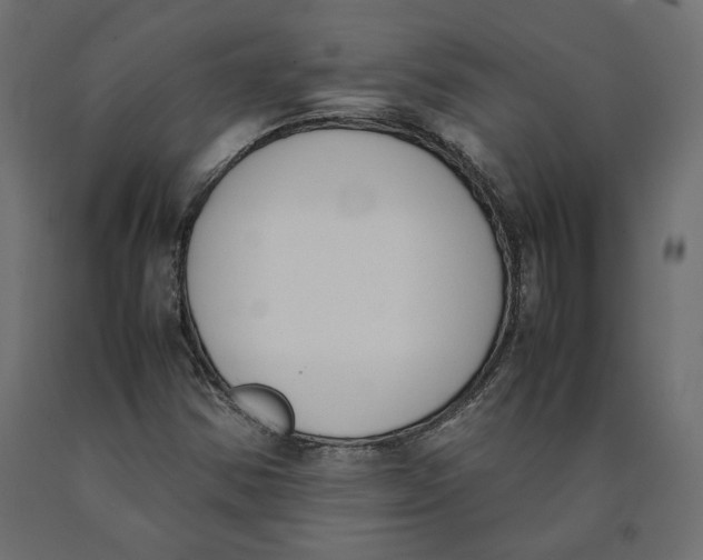 X0000090411354200708031033