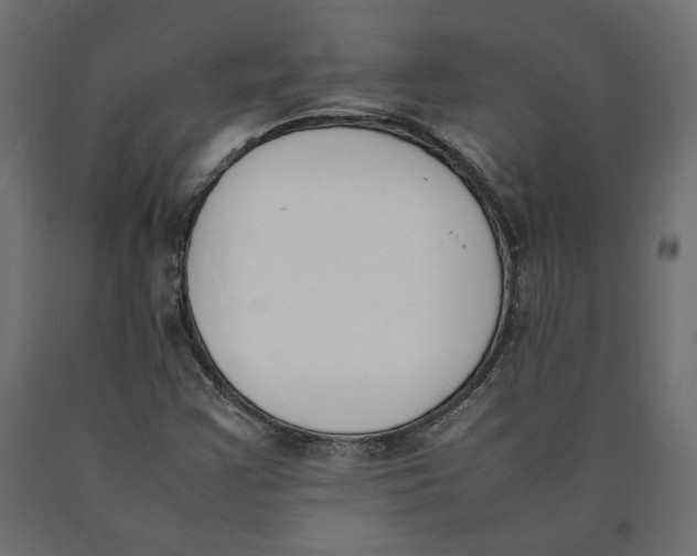 X0000090411355200708031033