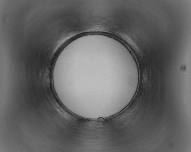X0000090411356200708031033