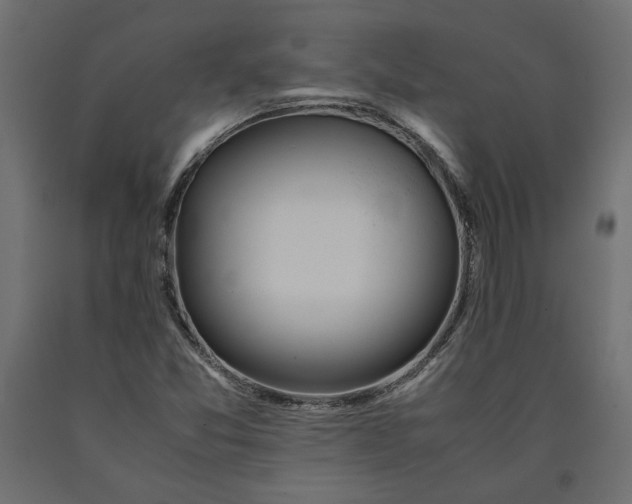 X0000090411357200708031033