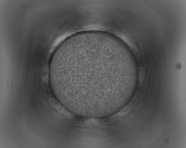 X0000090411358200708031033