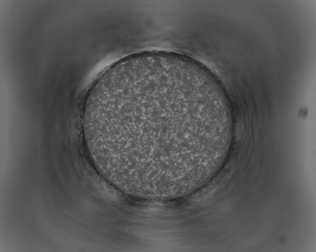 X0000090411359200708031033