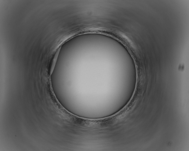 X0000090411361200708031033
