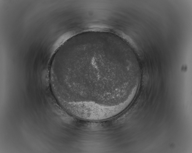 X0000090411362200708031033
