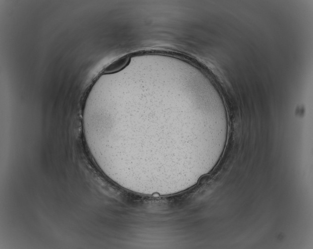 X0000090411363200708031033