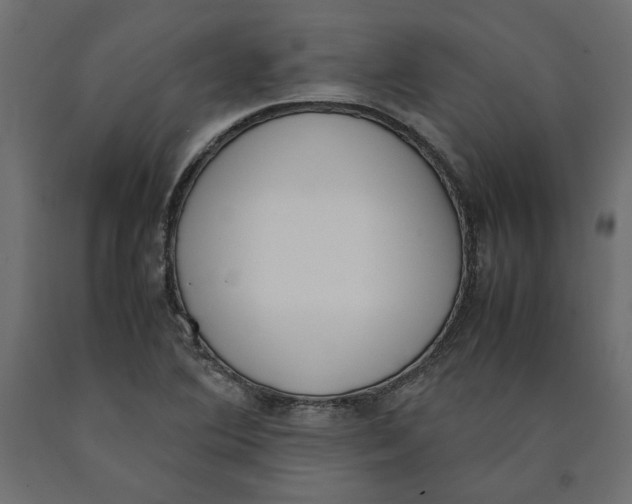 X0000090411364200708031033