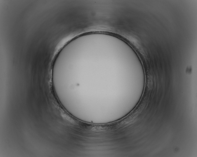 X0000090411366200708031033