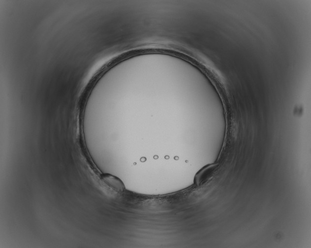 X0000090411368200708031033