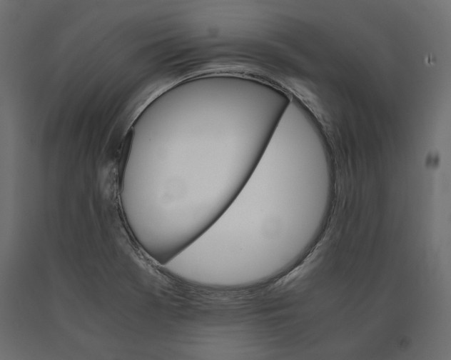 X0000090411369200708031032