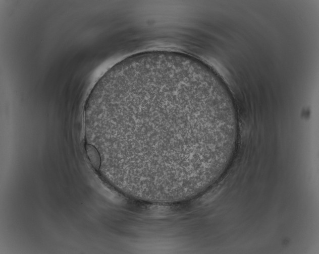 X0000090411371200708031032