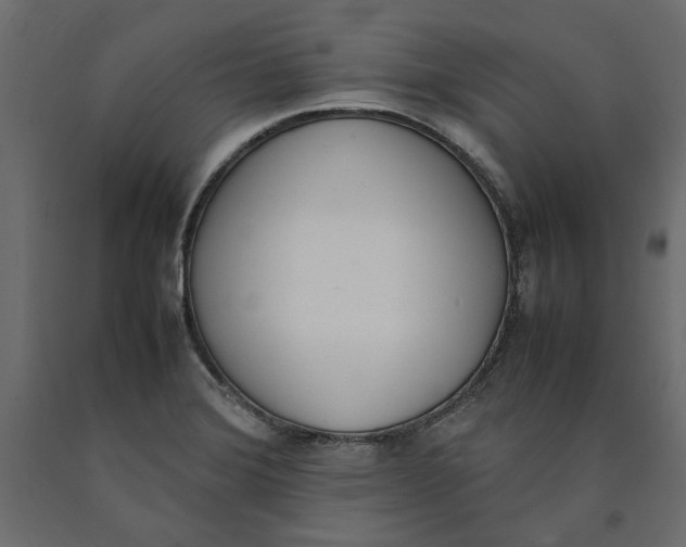 X0000090411372200708031032