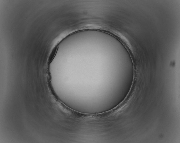 X0000090411373200708031032