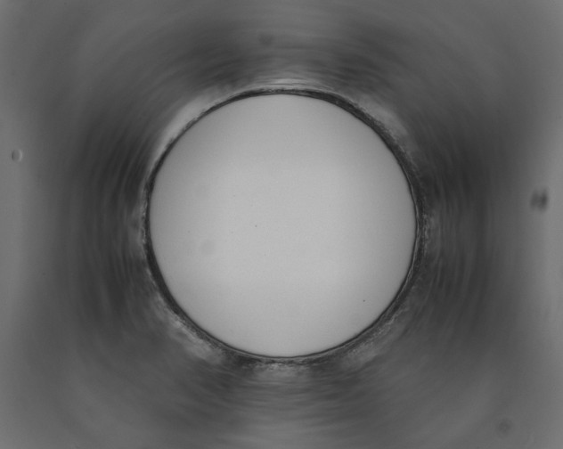 X0000090411374200708031032