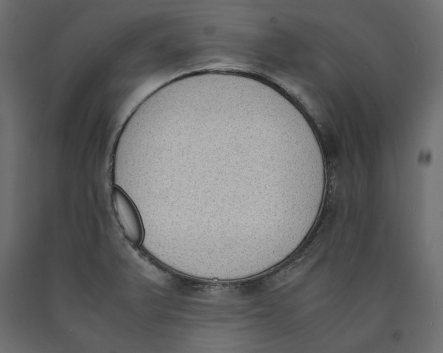 X0000090411375200708031032