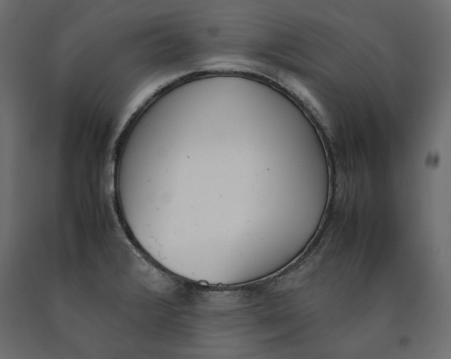 X0000090411376200708031032