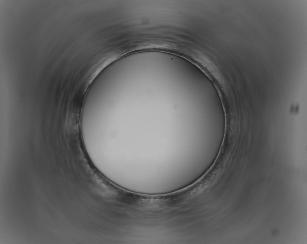 X0000090411377200708031032